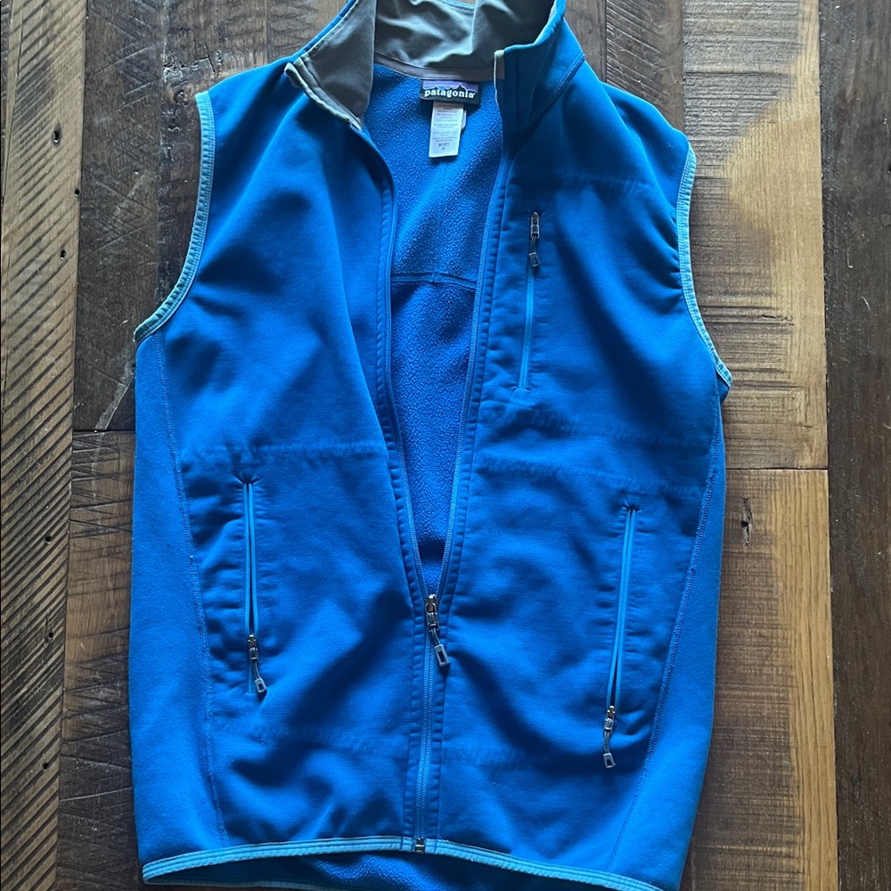 Patagonia Vibrant Blue Fleece Vest